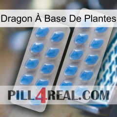 Dragon À Base De Plantes 23